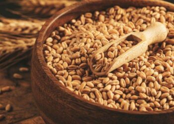 Ghana Tăng Giá Mua Cacao Lên 129%