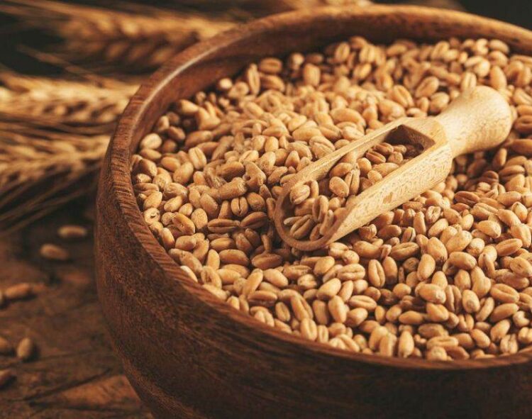 Ghana Tăng Giá Mua Cacao Lên 129%