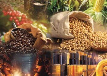 Thị Trường Giao Dịch Hàng Hóa Tại Việt Nam: 14 Năm Chuyển Mình Mạnh Mẽ