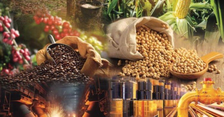Thị Trường Giao Dịch Hàng Hóa Tại Việt Nam: 14 Năm Chuyển Mình Mạnh Mẽ