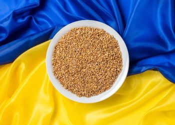 Xuất Khẩu Lúa Mì Của Ukraine Vượt Mốc 6,2 Triệu Tấn, Tăng Trưởng Mạnh So Với Năm Ngoái