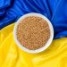 Xuất Khẩu Lúa Mì Của Ukraine Vượt Mốc 6,2 Triệu Tấn, Tăng Trưởng Mạnh So Với Năm Ngoái