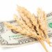 Ai Cập Tăng Giá Thu Mua Lúa Mì Nội Địa