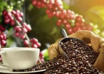 Giá Cà Phê Thế Giới Tiếp Tục Tăng Mạnh, Dự Báo Thị Trường Có Thể Điều Chỉnh Nhẹ