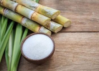 Sản Lượng Đường Tại Việt Nam Tăng Mạnh, Đáp Ứng Nhu Cầu Tiêu Thụ Trong Nước