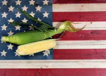 Xuất Khẩu Ngô Của Mỹ Thấp Hơn Dự Báo, Gây Thất Vọng Cho Thị Trường