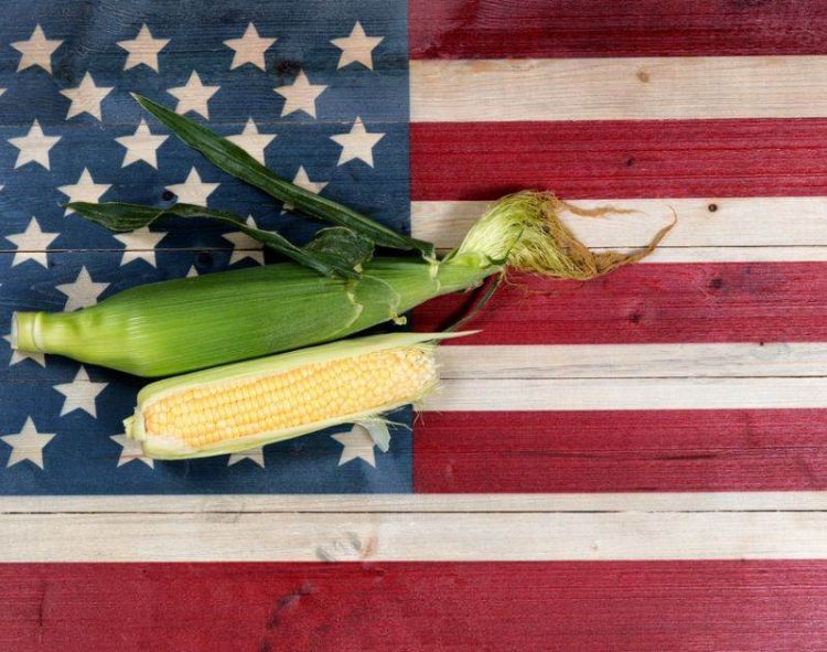 Xuất Khẩu Ngô Của Mỹ Thấp Hơn Dự Báo, Gây Thất Vọng Cho Thị Trường