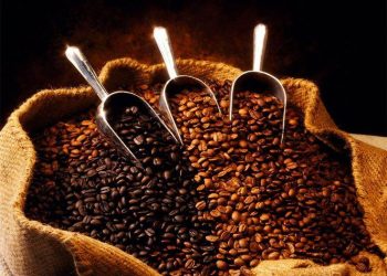 Robusta trading – Nghệ thuật giao dịch cà phê