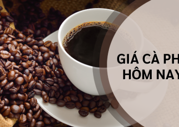 Giá cà phê hôm nay 21/4/2025: Tăng mạnh trong tuần qua, thị trường kỳ vọng tiếp diễn xu hướng tích cực