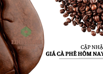 Giá cà phê hôm nay 22/4: Giá cà phê hôm nay 12/5: Giảm nhẹ trong tuần, thị trường ổn định trở lại