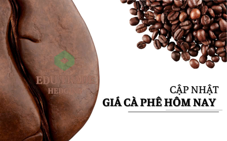 Giá cà phê hôm nay 22/4: Giá cà phê hôm nay 12/5: Giảm nhẹ trong tuần, thị trường ổn định trở lại
