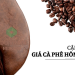 Giá cà phê hôm nay 22/4: Giá cà phê hôm nay 12/5: Giảm nhẹ trong tuần, thị trường ổn định trở lại