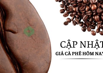 Ảnh minh họa: Giá cà phê hôm nay 5/6: Giảm mạnh vì nguồn cung tăng, xuất khẩu vẫn kỳ vọng chạm mốc 7 tỷ USD