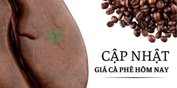 Ảnh minh họa: Giá cà phê hôm nay 5/6: Giảm mạnh vì nguồn cung tăng, xuất khẩu vẫn kỳ vọng chạm mốc 7 tỷ USD