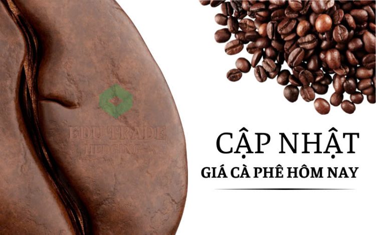 Ảnh minh họa: Giá cà phê hôm nay 5/6: Giảm mạnh vì nguồn cung tăng, xuất khẩu vẫn kỳ vọng chạm mốc 7 tỷ USD