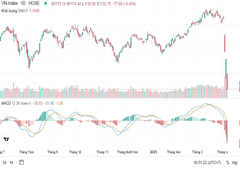 Kết phiên giao dịch ngày 8/4, VN-Index giảm mạnh -77,88 điểm (-6,43%) về mức 1132,79 điểm
