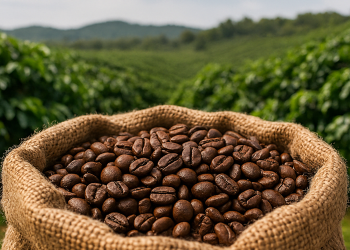 Giá cà phê hôm nay 15/4/2025: Robusta tăng mạnh, nguồn cung toàn cầu sụt giảm