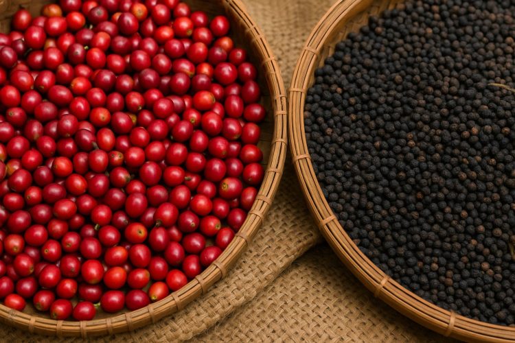 Bản tin giá nông sản hôm nay: Hồ tiêu và cà phê đồng loạt tăng nhẹ