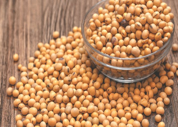 Thị trường hàng hóa hôm nay 16/4: Giá đậu tương mở rộng đà suy yếu do chốt lời và dữ liệu ép dầu kém sáng