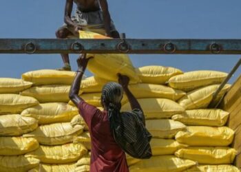 Theo Boomberg, quốc gia nhập khẩu  urê lớn nhất thế giới là Ấn Độ đã đồng ý mua loại phân bón gốc nitơ này với mức giá cao hơn đáng kể so với các đợt đấu thầu trước đó. Điều này diễn ra trong bối cảnh xung đột tại Trung Đông làm gián đoạn nguồn cung và đẩy giá chuẩn toàn cầu tăng mạnh.