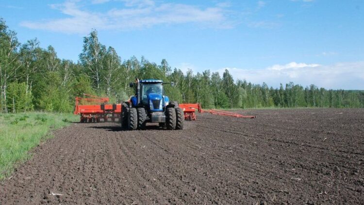 Theo Zerno On-line, trích dẫn số liệu từ Cơ quan Thống kê Nông nghiệp Quốc gia (NASS) thuộc Bộ Nông nghiệp Hoa Kỳ, tỷ lệ gieo trồng ngô và đậu nành ở Mỹ đang cao hơn nhiều so với mức trung bình.