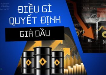Nhiều người cho rằng kỷ nguyên dầu mỏ hiện đại ra đời vào ngày đó năm 1901, khi dầu mỏ nhanh chóng thay thế than đá trở thành nguồn nhiên liệu chính của thế giới. Việc sử dụng dầu mỏ trong nhiên liệu tiếp tục là yếu tố chính khiến nó trở thành mặt hàng có nhu cầu cao trên toàn cầu, nhưng giá cả được xác định như thế nào?