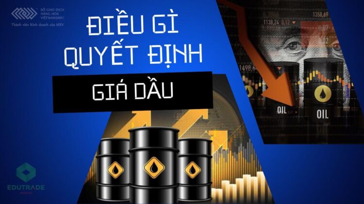 Nhiều người cho rằng kỷ nguyên dầu mỏ hiện đại ra đời vào ngày đó năm 1901, khi dầu mỏ nhanh chóng thay thế than đá trở thành nguồn nhiên liệu chính của thế giới. Việc sử dụng dầu mỏ trong nhiên liệu tiếp tục là yếu tố chính khiến nó trở thành mặt hàng có nhu cầu cao trên toàn cầu, nhưng giá cả được xác định như thế nào?
