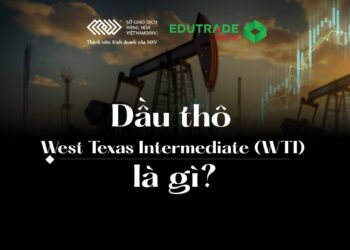 Dầu thô West Texas Intermediate (WTI) là loại dầu thô nhẹ, ngọt, chủ yếu được khai thác từ Texas, nổi tiếng về chất lượng cao và dễ tinh chế. Dầu WTI đóng vai trò là chuẩn mực quan trọng cho giá dầu ở Bắc Mỹ và là thành phần chính của hợp đồng tương lai dầu mỏ trên Sàn giao dịch hàng hóa New York (NYMEX). Dầu chủ yếu được vận chuyển và phân phối tại Cushing, Oklahoma, một trung tâm trọng yếu ở Mỹ với năng lực lưu trữ và đường ống dẫn dầu đáng kể. Mặc dù dầu WTI được đánh giá cao, nhưng dầu Brent vẫn là chuẩn mực định giá toàn cầu cho hai phần ba hợp đồng dầu mỏ trên thế giới, và dầu WTI thường được giao dịch với giá chiết khấu do sản lượng của Mỹ tăng và chi phí hậu cần tăng. Mỹ là nước xuất khẩu ròng các sản phẩm dầu mỏ, duy trì hoạt động thương mại mạnh mẽ bất chấp việc nhập khẩu một lượng đáng kể từ các quốc gia như Canada và Mexico.