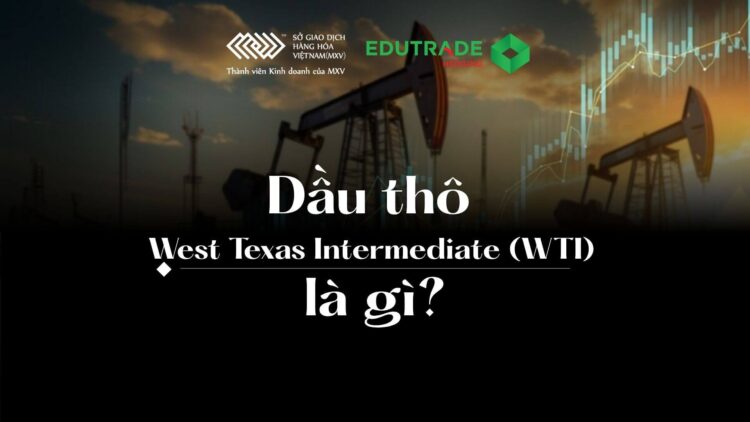 Dầu thô West Texas Intermediate (WTI) là loại dầu thô nhẹ, ngọt, chủ yếu được khai thác từ Texas, nổi tiếng về chất lượng cao và dễ tinh chế. Dầu WTI đóng vai trò là chuẩn mực quan trọng cho giá dầu ở Bắc Mỹ và là thành phần chính của hợp đồng tương lai dầu mỏ trên Sàn giao dịch hàng hóa New York (NYMEX). Dầu chủ yếu được vận chuyển và phân phối tại Cushing, Oklahoma, một trung tâm trọng yếu ở Mỹ với năng lực lưu trữ và đường ống dẫn dầu đáng kể. Mặc dù dầu WTI được đánh giá cao, nhưng dầu Brent vẫn là chuẩn mực định giá toàn cầu cho hai phần ba hợp đồng dầu mỏ trên thế giới, và dầu WTI thường được giao dịch với giá chiết khấu do sản lượng của Mỹ tăng và chi phí hậu cần tăng. Mỹ là nước xuất khẩu ròng các sản phẩm dầu mỏ, duy trì hoạt động thương mại mạnh mẽ bất chấp việc nhập khẩu một lượng đáng kể từ các quốc gia như Canada và Mexico.