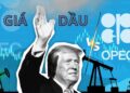 OPEC và OPEC+ là các nhóm quốc gia xuất khẩu dầu mỏ sử dụng hạn ngạch cung ứng nhằm đảm bảo mức giá dài hạn cao nhất cho các thành viên của mình. Cả hai nhóm đều đặt ra mục tiêu cung ứng dựa trên sự đồng thuận, mặc dù Ả Rập Xê Út đóng vai trò nổi bật hơn cả với tư cách là nhà xuất khẩu hàng đầu và có công suất dự phòng lớn nhất. OPEC được thành lập để chống lại sự thống trị của Mỹ trên thị trường dầu mỏ vào những năm 1950, và lệnh cấm vận dầu mỏ của các nước Ả Rập năm 1973-1974 đã củng cố danh tiếng của OPEC như một đối thủ của Mỹ. Thị trường dầu mỏ toàn cầu ngày càng kết nối người tiêu dùng châu Á với một nhóm rộng lớn các nhà sản xuất OPEC và ngoài OPEC, quá lớn và đa dạng để có thể bị chi phối bởi một quốc gia hoặc nhóm duy nhất.