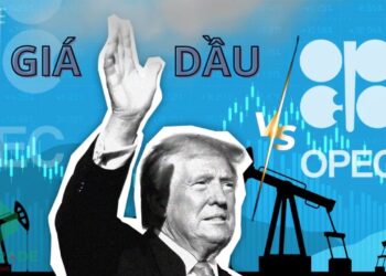 OPEC và OPEC+ là các nhóm quốc gia xuất khẩu dầu mỏ sử dụng hạn ngạch cung ứng nhằm đảm bảo mức giá dài hạn cao nhất cho các thành viên của mình. Cả hai nhóm đều đặt ra mục tiêu cung ứng dựa trên sự đồng thuận, mặc dù Ả Rập Xê Út đóng vai trò nổi bật hơn cả với tư cách là nhà xuất khẩu hàng đầu và có công suất dự phòng lớn nhất. OPEC được thành lập để chống lại sự thống trị của Mỹ trên thị trường dầu mỏ vào những năm 1950, và lệnh cấm vận dầu mỏ của các nước Ả Rập năm 1973-1974 đã củng cố danh tiếng của OPEC như một đối thủ của Mỹ. Thị trường dầu mỏ toàn cầu ngày càng kết nối người tiêu dùng châu Á với một nhóm rộng lớn các nhà sản xuất OPEC và ngoài OPEC, quá lớn và đa dạng để có thể bị chi phối bởi một quốc gia hoặc nhóm duy nhất.