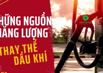 Bạn muốn bắt đầu tìm hiểu thị trường hàng hóa phái sinh, chiến lược đầu tư Xăng dầu hiệu quả, nhưng chưa biết nên học từ đâu? Hãy theo dõi chuyên mục Kiến thức hàng hóa tại eutrade.vn để cập nhật thêm các bài viết dễ hiểu, thực tế và bài bản về hàng hóa, giao dịch phái sinh và tư duy đầu tư đúng ngay từ đầu.
