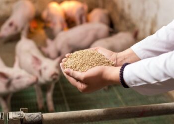 học giao dịch hàng hóa phái sinh đào tạo trading chuyên nghiệp đầu tư hàng hóa hiệu quả kiến thức trading cho người mới chiến lược giao dịch tối ưu phân tích kỹ thuật thực chiến quản lý rủi ro tài chính khóa học trading online thị trường hàng hóa phái sinh đầu tư tài chính thông minh học trade từ cơ bản đến nâng cao nền tảng giáo dục tài chính hướng dẫn giao dịch chi tiết kinh nghiệm trading thực tế tín hiệu giao dịch hàng hóa phân tích thị trường mỗi ngày tối ưu lợi nhuận đầu tư kỹ năng trading chuyên sâu cộng đồng trader chuyên nghiệp học đầu tư online uy tín