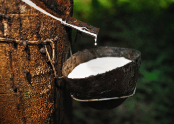 Caosu RSS3 Caosu Cây cao su Cao su Edu Trade Cao su tự nhiên hàng hóa cao su mặt hàng cao su sản phẩm cao su Cao su RSS Cao su RBS