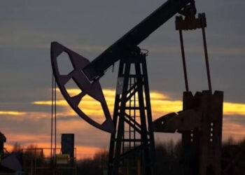 Xăng dầu vệt nam Eđu Trade giá xăng dầu thị trường dầu thô xăng dầu Việt Nam