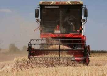 Giá giá phân bón tăng vọt 50% sau xung đột tại Iran, nhiều mặt hàng bị ảnh hưởng