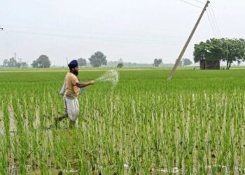 Riêng trong tháng 3, lượng xuất khẩu đạt hơn 358 nghìn tấn với trị giá hơn 172 triệu USD, tăng 34% về lượng và tăng 90% về trị giá so với cùng kỳ năm ngoái. Xét về thị trường, Campuchia tiếp tục là thị trường lớn nhất với tỷ trọng 19%, dù giảm 5 điểm phần trăm so với cùng kỳ. Xuất khẩu sang quốc gia này cũng tăng 6% so với cùng kỳ năm trước. Theo KiriPost, ông Mam Sarith, đại diện Học viện Khoa học Hoàng gia Campuchia chia sẻ vào đầu tháng 2 rằng nhu cầu nhập khẩu lớn của Campuchia chủ yếu là do phạm vi nông nghiệp mở rộng và nhu cầu thị trường tăng cao.