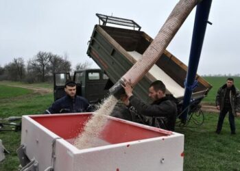Đây là đợt tăng giá phân bón nghiêm trọng thứ hai trong vòng bốn năm qua, sau xung đột giữa Nga – Ukraine.