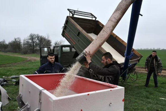 Đây là đợt tăng giá phân bón nghiêm trọng thứ hai trong vòng bốn năm qua, sau xung đột giữa Nga – Ukraine.