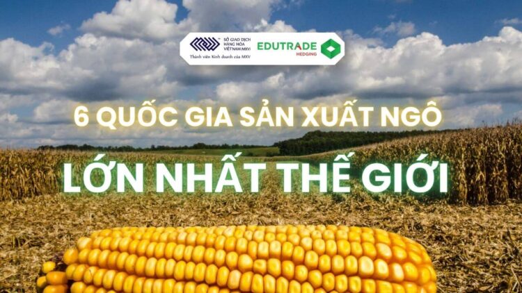 top 6 các quốc gia sản xuất ngô lớn nhất thế giới.