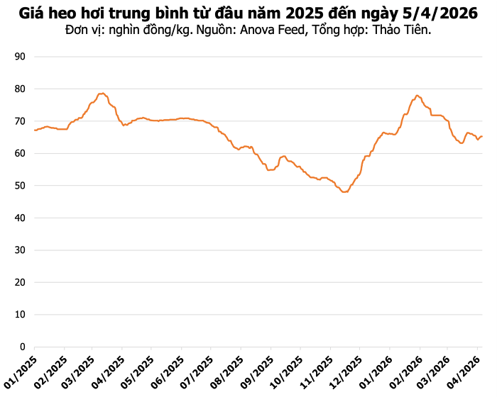 Gía heo hơi, giá thịt heo, edutrade, giá heo, thịt heo, hàng hóa thịt heo
