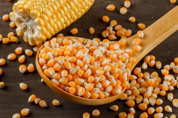 Việc nhu cầu ngô Ukraine từ Thổ Nhĩ Kỳ tăng cao đã phần nào kích thích nhu cầu từ phía người mua châu Âu, những người đang cố gắng mua các lô hàng cần thiết trước khi giá ngô ở Ukraine tăng.