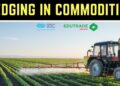 HEDGING IN COMMODITIES PHÁI SINH HÀNG HÓA Hàng hóa: Công cụ phòng ngừa rủi ro cho danh mục đầu tư