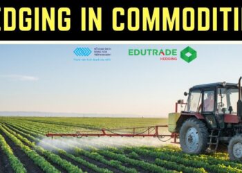 HEDGING IN COMMODITIES PHÁI SINH HÀNG HÓA Hàng hóa: Công cụ phòng ngừa rủi ro cho danh mục đầu tư