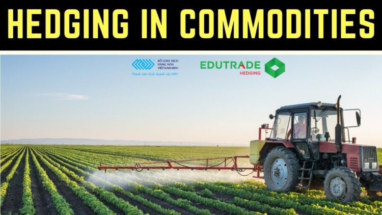 HEDGING IN COMMODITIES PHÁI SINH HÀNG HÓA Hàng hóa: Công cụ phòng ngừa rủi ro cho danh mục đầu tư