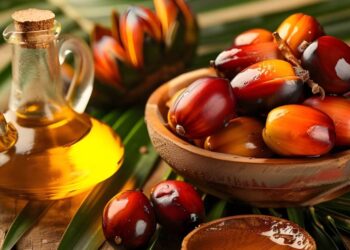 Hội nghị BLACK SEA GRAIN. KYIV , diễn ra vào ngày 22-23 tháng 4 tại Kyiv, sẽ tập trung vào việc phát triển hơn nữa thị trường ngũ cốc và hạt có dầu của Ukraine và khu vực Biển Đen. Sự kiện này sẽ tập trung vào các định hướng chiến lược cho ngành nông nghiệp đến năm 2030, bao gồm đầu tư, tự chủ năng lượng, chế biến và xuất khẩu các sản phẩm có giá trị cao.