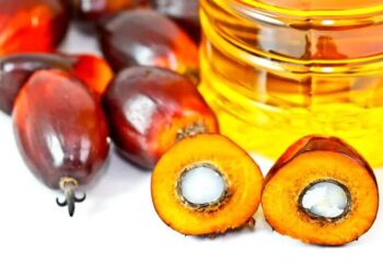 Dầu cọ là một trong những lĩnh vực bị ảnh hưởng nặng nề nhất bởi căng thẳng địa chính trị đang diễn ra ở Trung Đông, chủ yếu do nhu cầu suy yếu từ Iran, theo lời ông Datuk Seri Rizal Merican Naina Merican, Chủ tịch Tập đoàn Phát triển Thương mại Quốc tế Malaysia (Matrade).