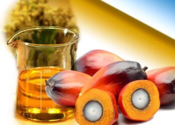 Giá dầu cọ tăng nhờ thị trường Trung Quốc khởi sắc hơn, giá dầu thô tăng cao và giá dầu đậu nành tăng vào ngày hôm trước, theo Abdul Hamid, giám đốc bán hàng của công ty Manzoor Trading có trụ sở tại Pakistan. Ông cho biết thêm, giá dầu tăng cao đang cải thiện hiệu quả kinh tế của nhiên liệu sinh học, và việc Indonesia nối lại kế hoạch tung ra B50 vào ngày 1 tháng 7 vẫn là một yếu tố quan trọng. Chênh lệch giá giữa dầu cọ và dầu đậu nành cũng có lợi cho dầu cọ, ông lưu ý, đồng thời cho biết thêm rằng giá dầu cọ thấp hơn đang tạo ra nhu cầu mạnh mẽ từ các thị trường trọng điểm.