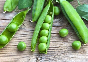 Đậu tương đậu nành Việt Nam