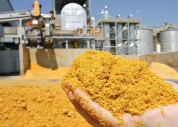 Dự báo sản lượng chế biến đậu nành toàn cầu cho niên vụ 2025/26 đã được nâng lên 2 triệu tấn, đạt 100,26 triệu tấn, vượt qua kỷ lục của niên vụ trước (96,46 triệu tấn). Khối lượng chế biến đậu nành hiện tại đang đẩy các ước tính về sản lượng tại Mỹ, Nam Mỹ và châu Á tăng lên. Theo các nhà phân tích tại Oil World (Đức), động lực chính là nhu cầu tăng cao đối với cả dầu và khô dầu đậu nành.